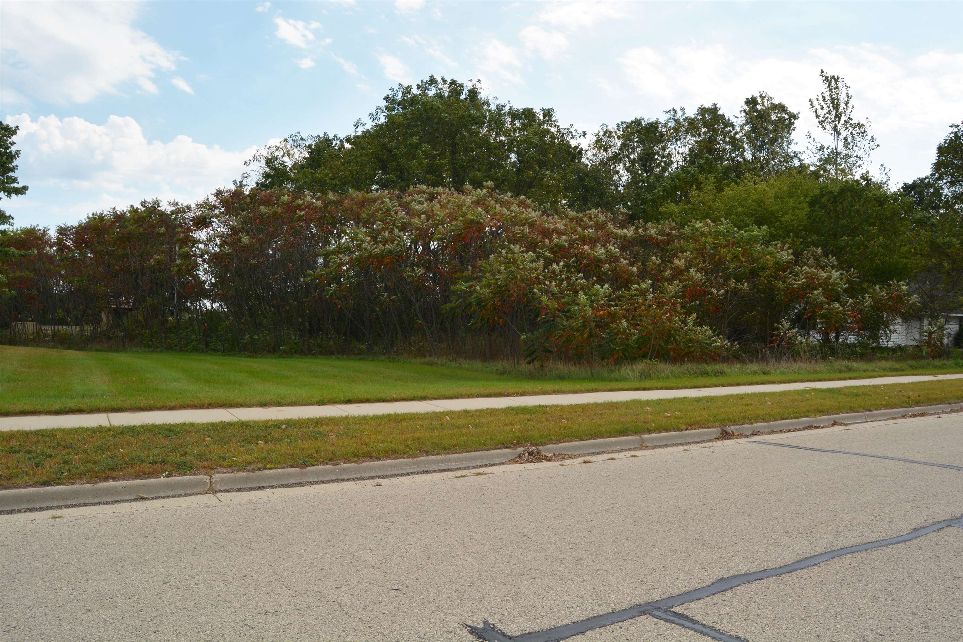 Lot 81 Westmor Spring Green Spring Green, WI 53588 - Photo 8 of 13