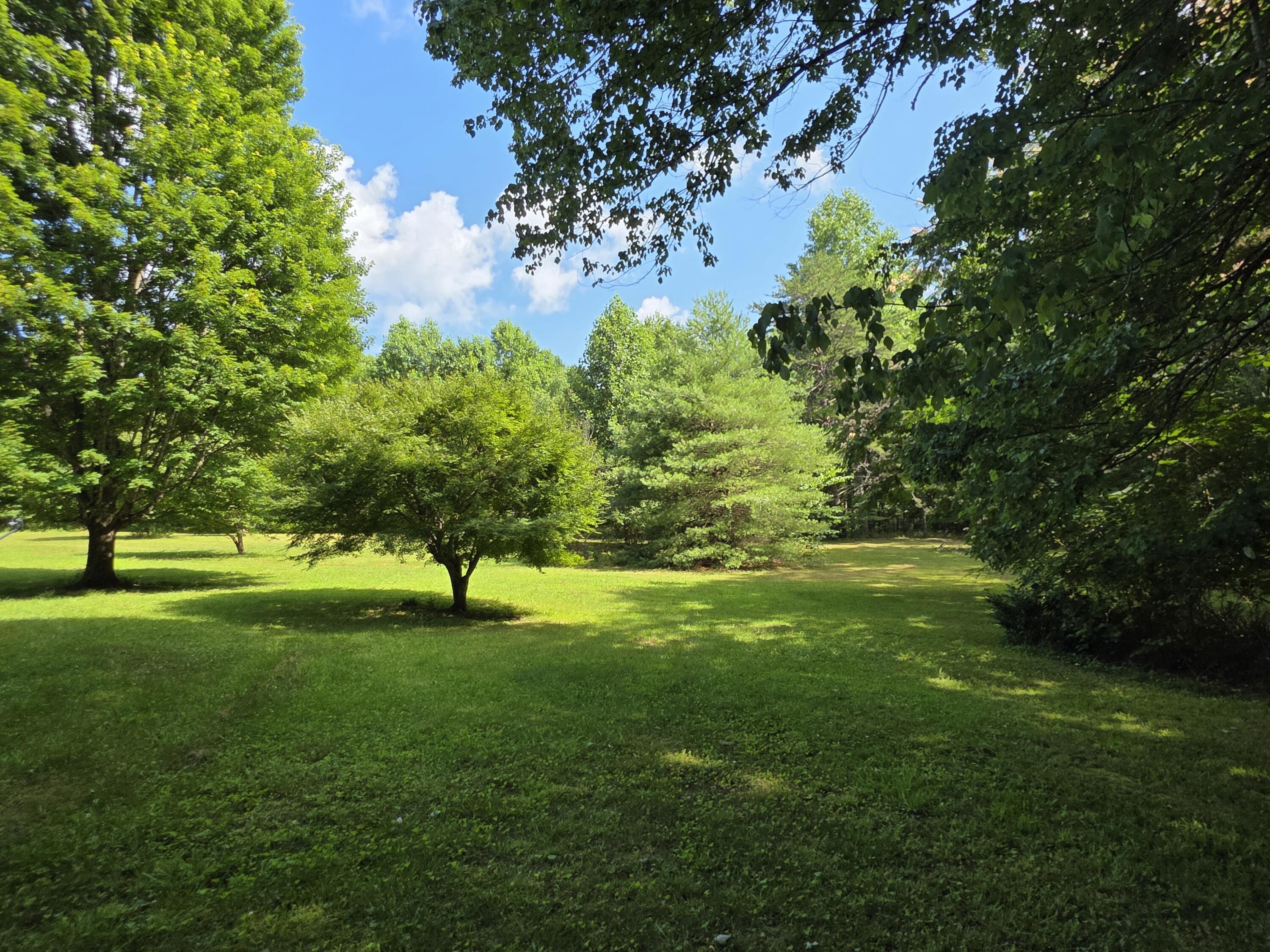 19314 South Pittsburg Mountain Road Sewanee, TN 37375 - Photo 2 of 19 Land
