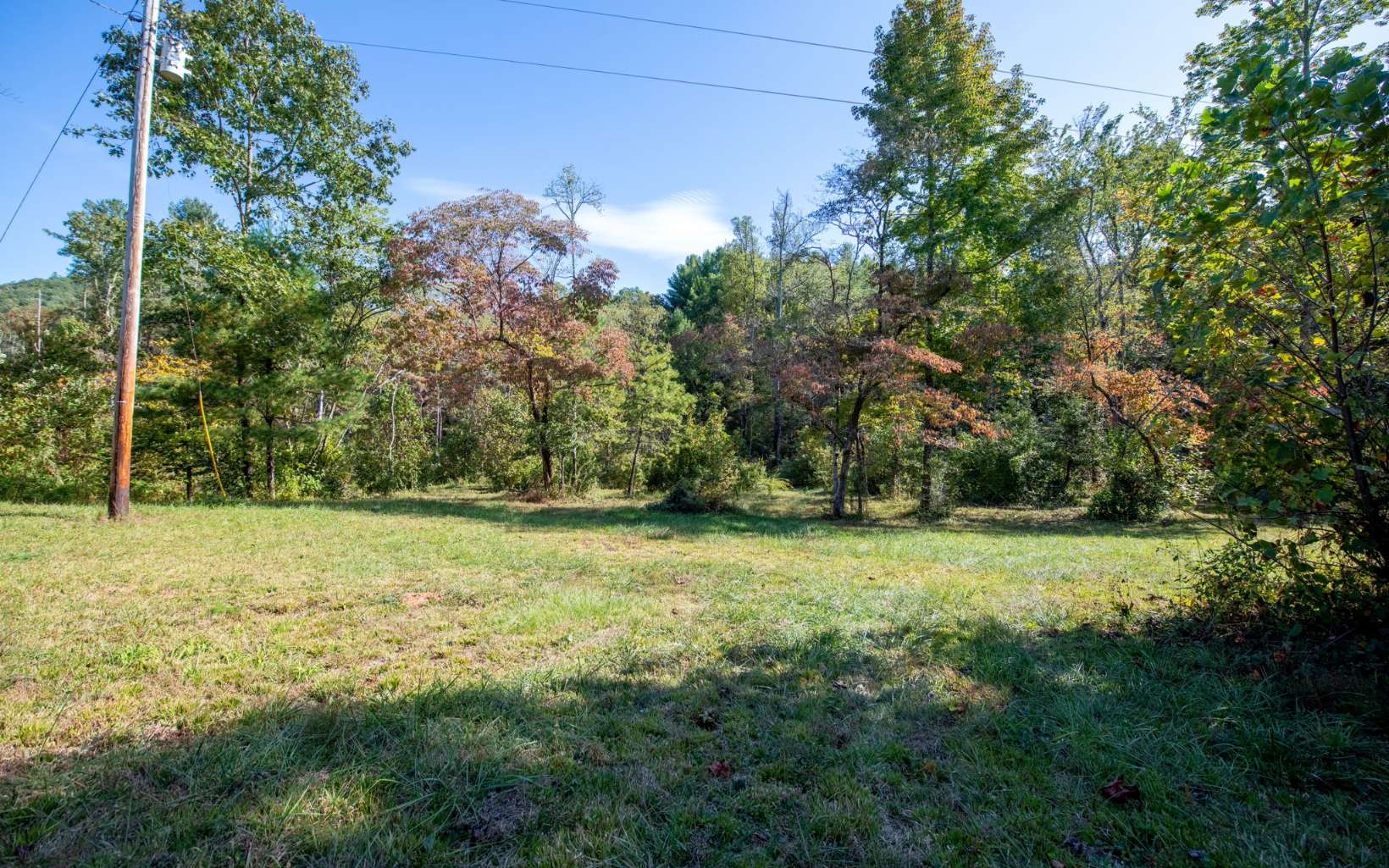 405 Higdon Creek Road Blue Ridge, GA 30513 - Photo 24 of 44 Additional View