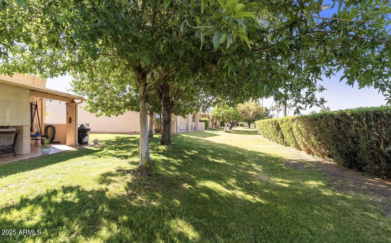 716 South Privet Way Mesa, AZ 85208 - Photo 31 of 40 a view of yard with tree