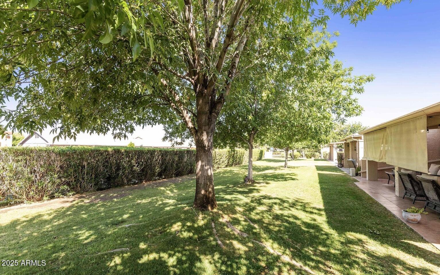 716 South Privet Way Mesa, AZ 85208 - Photo 39 of 40 a view of backyard with green space