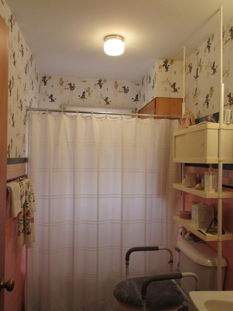 304 2nd Street Danforth, IL 60930 - Photo 10 of 16
