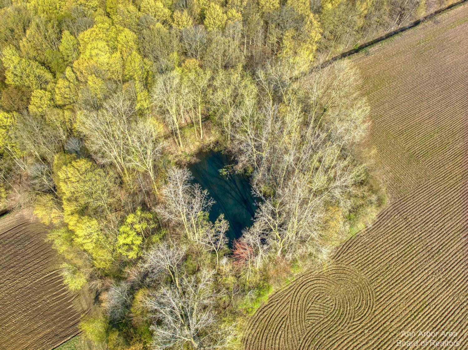 9624 Martz Road Ypsilanti, MI 48197 - Photo 11 of 24 Photo 11