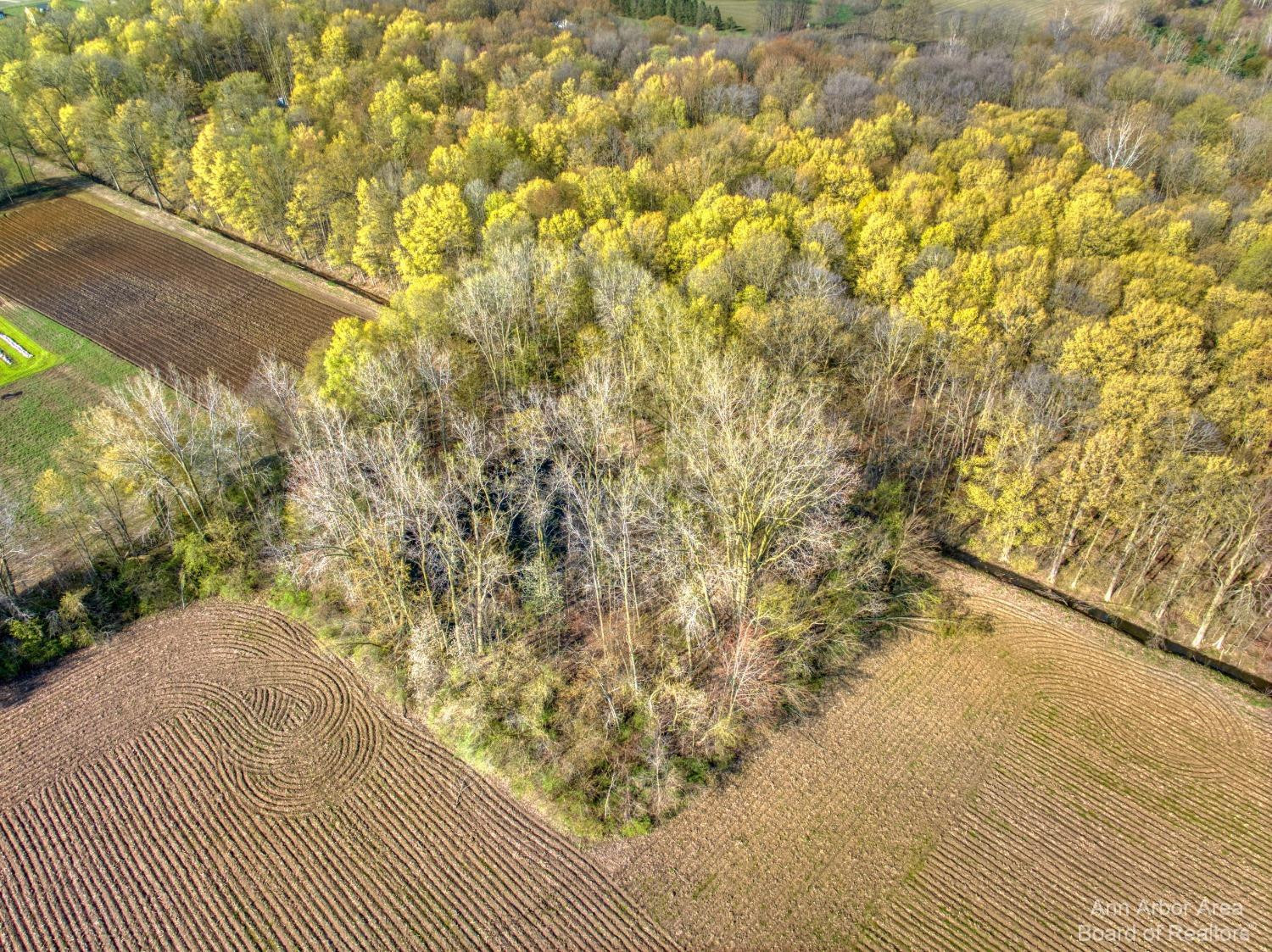 9624 Martz Road Ypsilanti, MI 48197 - Photo 9 of 24 Photo 9