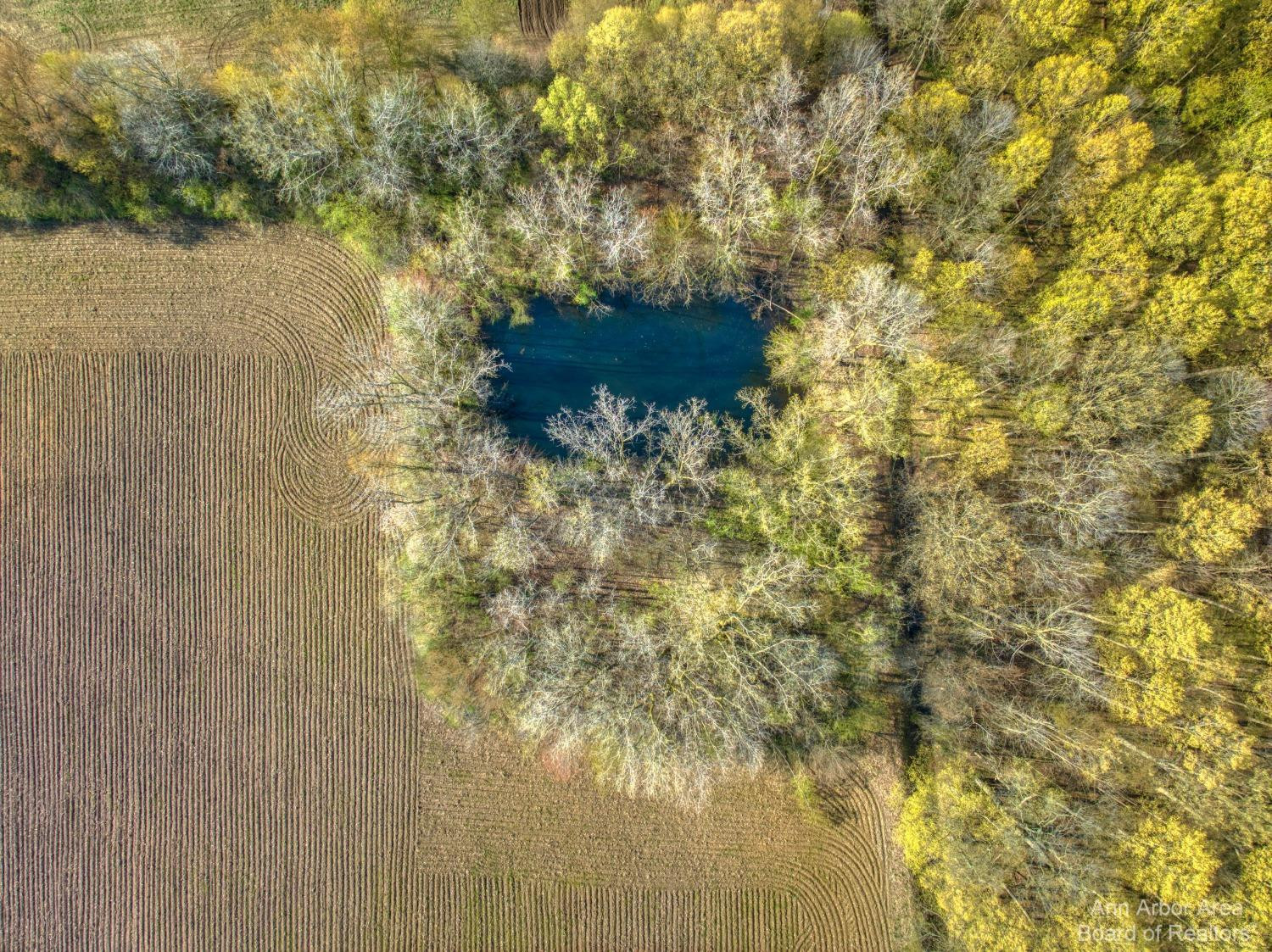 9624 Martz Road Ypsilanti, MI 48197 - Photo 10 of 24 Photo 10