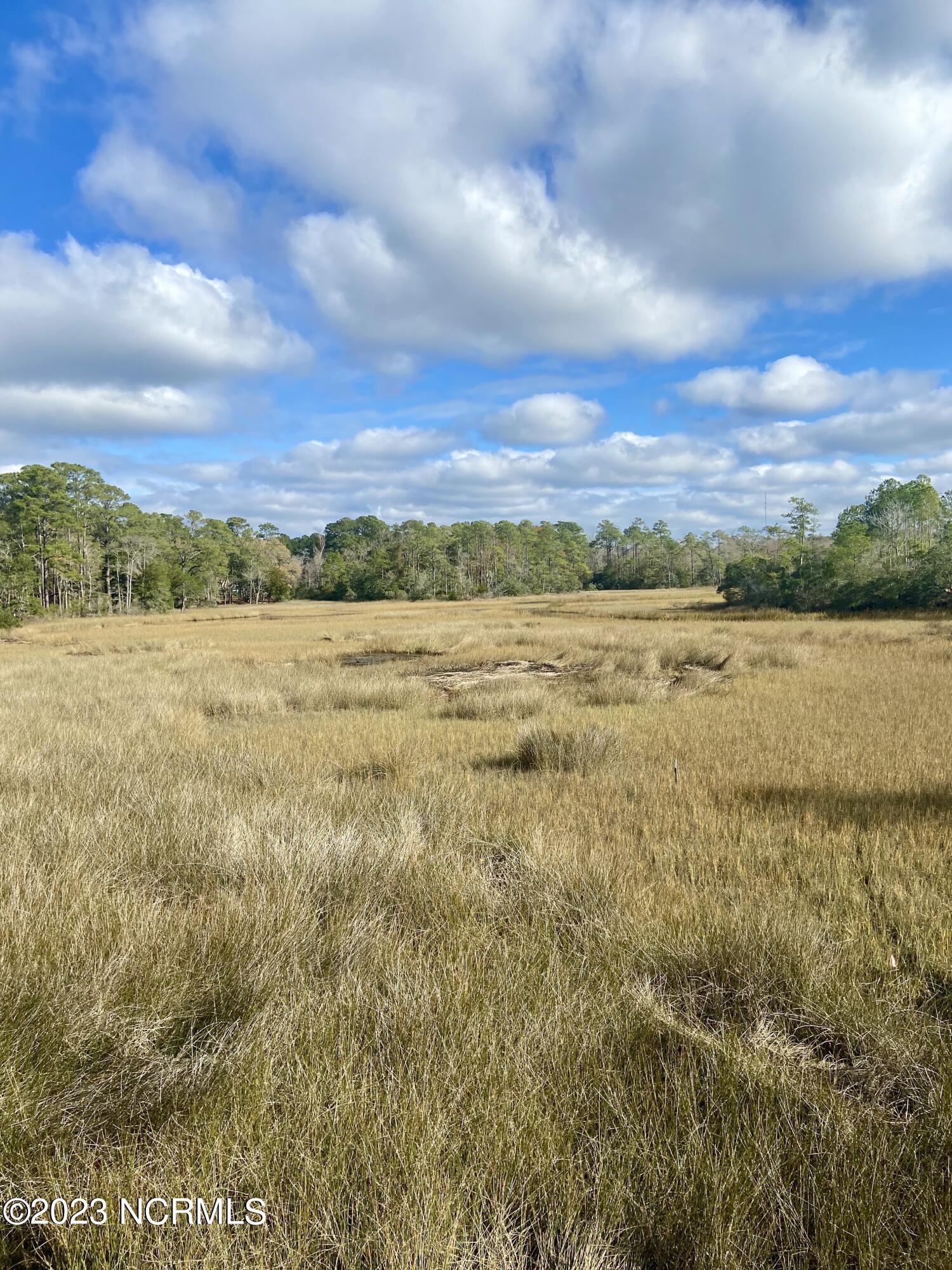 1251 Bricklanding Road Southwest Shallotte, NC 28470 - Photo 2 of 10 IMG_0372