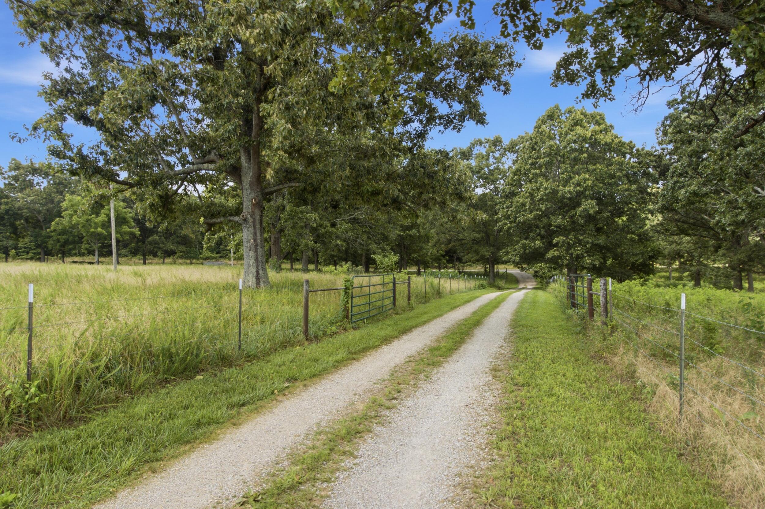 11504 State Rte PP West Plains, MO 65775 - Photo 46 of 50 43