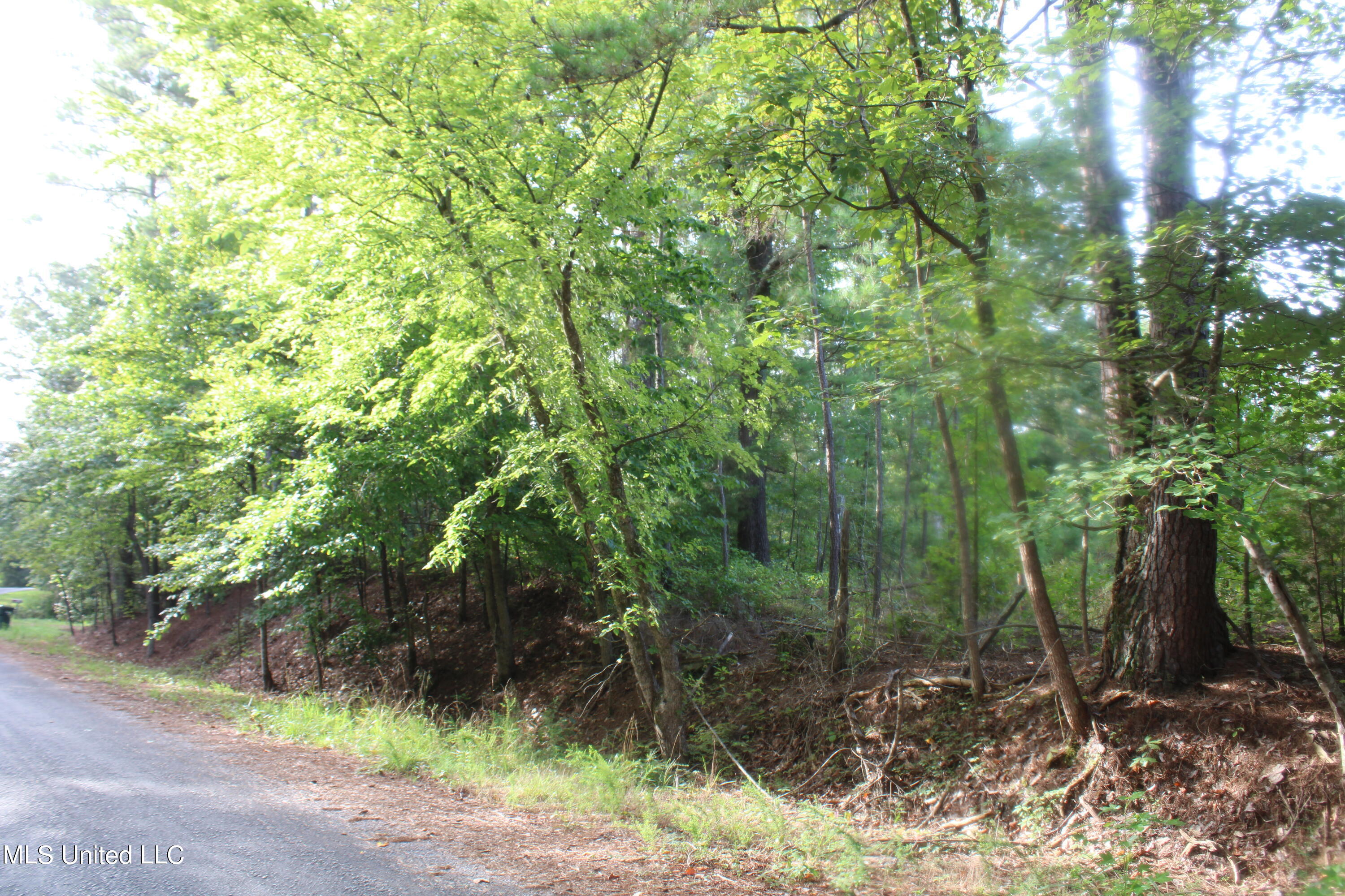3704 Higdon Road Holly Springs, MS 38635 - Photo 1 of 9 IMG_4260