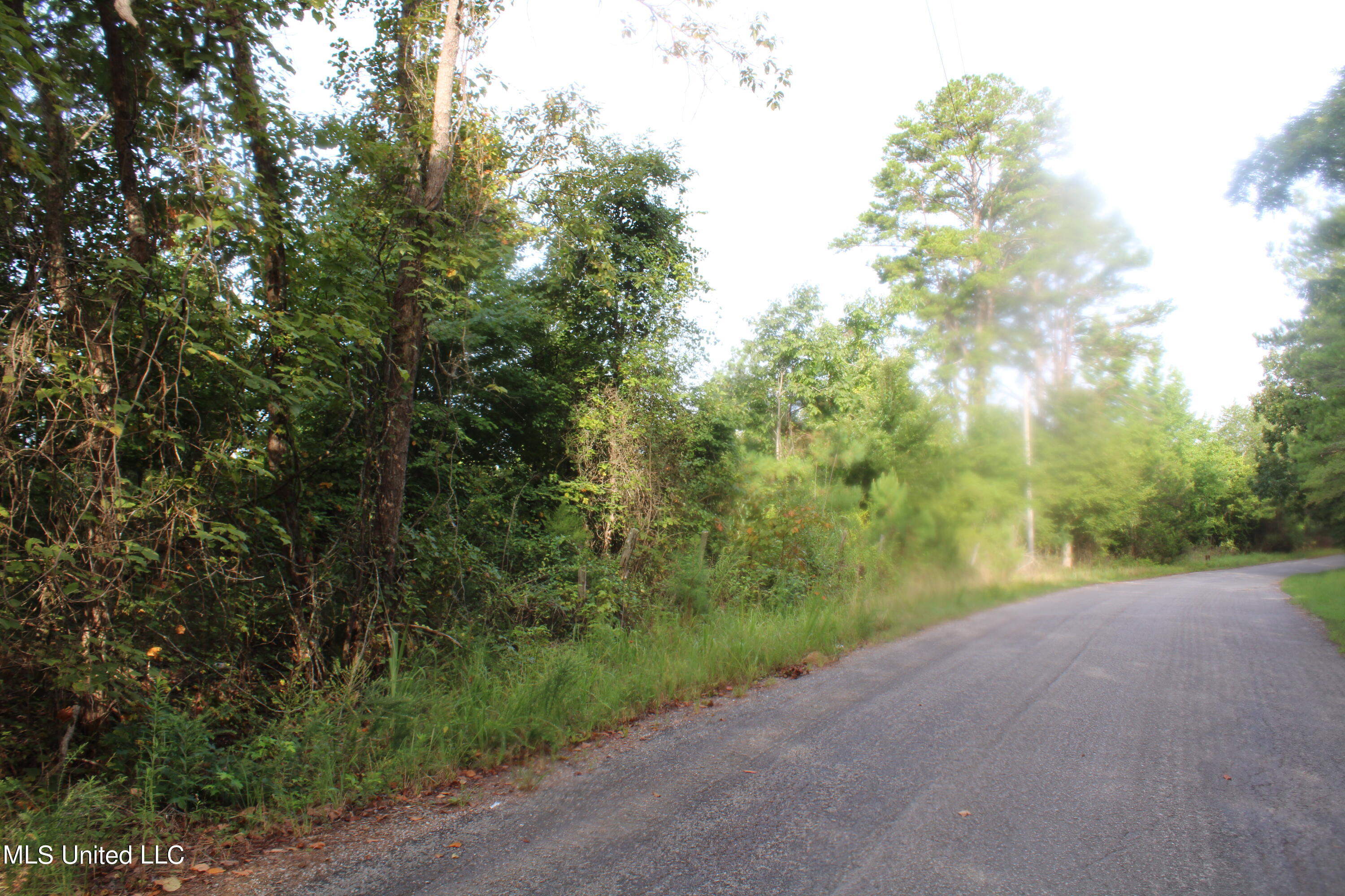 3704 Higdon Road Holly Springs, MS 38635 - Photo 2 of 9 IMG_4261
