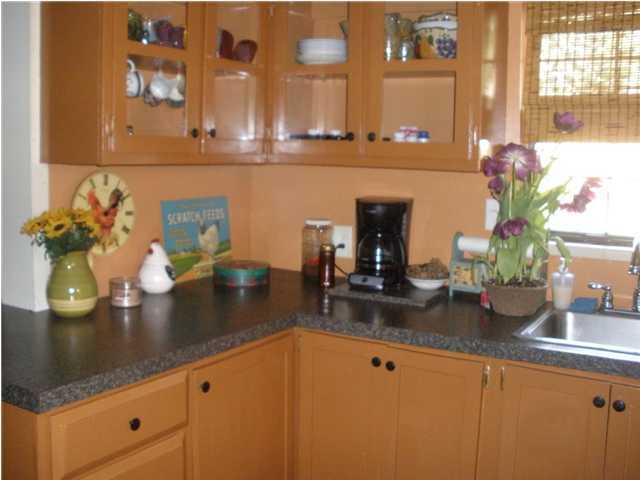 240 Wesley Road DeFuniak Springs, FL 32433 - Photo 5 of 25 a kitchen with sink and potted plant