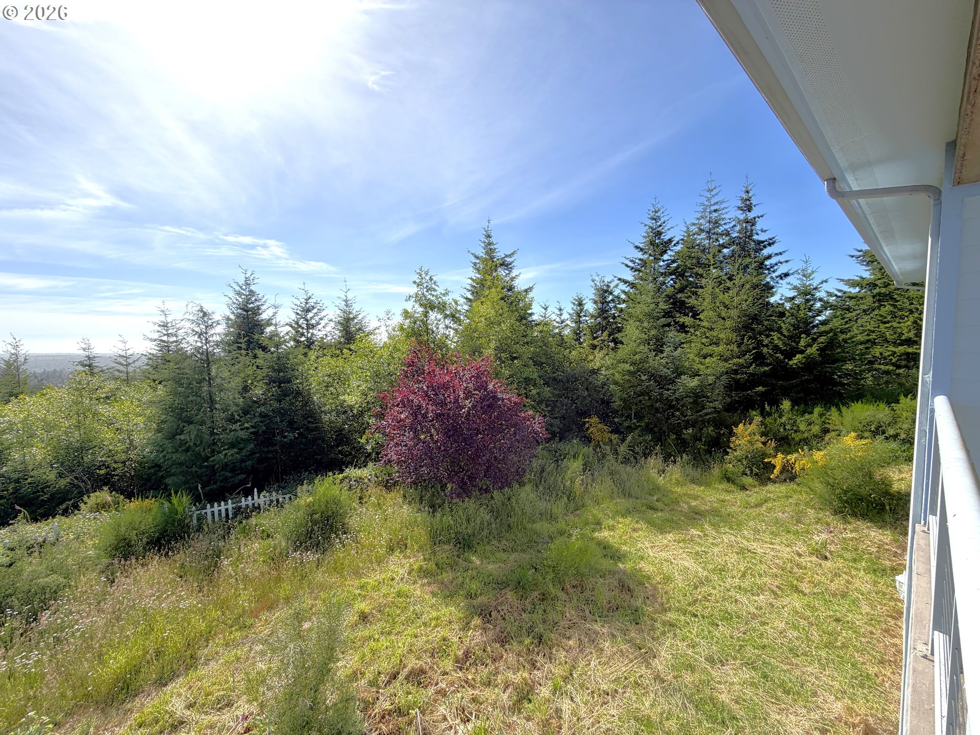 47500 Pacific View Road Langlois, OR 97450 - Photo 4 of 43