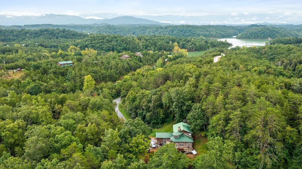1737 Parrotts Chapel Road Sevierville, TN 37876 - Photo 6 of 30 Gallery Image 6