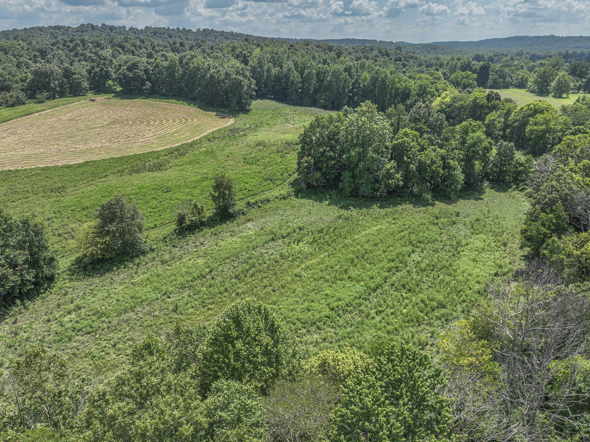0 Adam Road Salem, KY 42078 - Photo 4 of 10 68+/- Acres