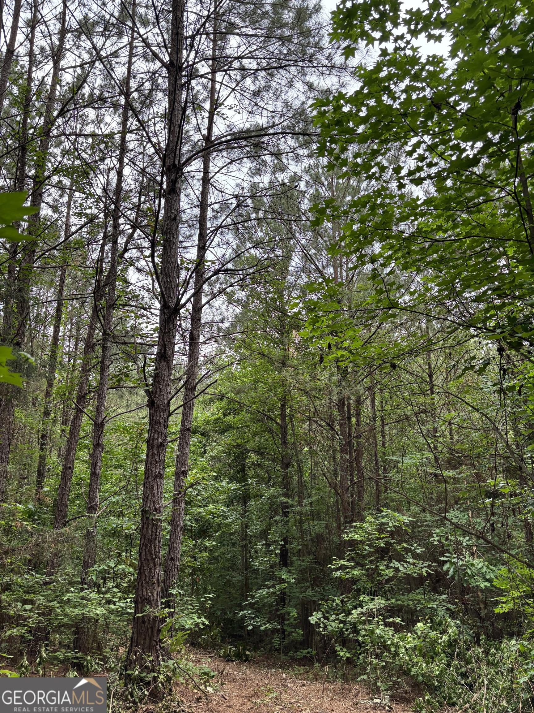 0 County Road 193 Valley, AL 36854 - Photo 23 of 23