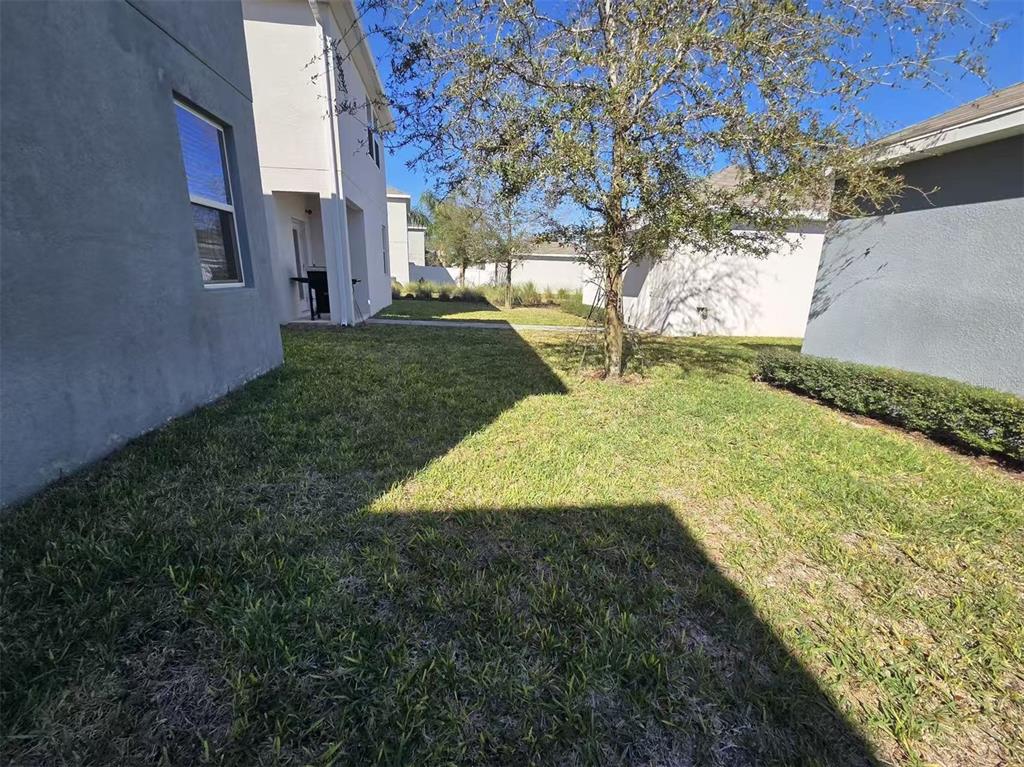 16147 Water Spring Boulevard Winter Garden, FL 34787 - Photo 12 of 17 a view of a yard with plants