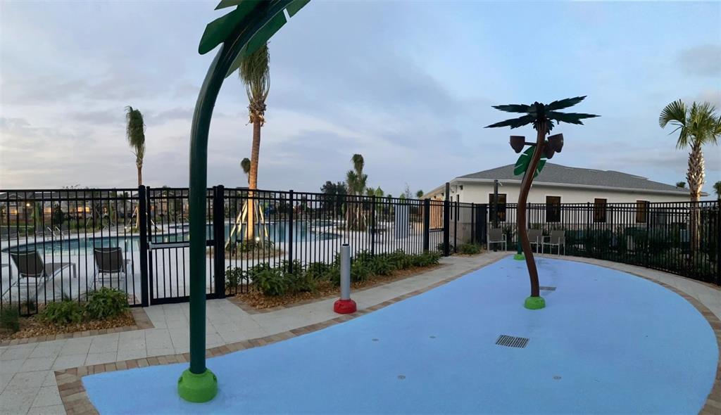 16147 Water Spring Boulevard Winter Garden, FL 34787 - Photo 14 of 17 a swimming pool with view of tall trees