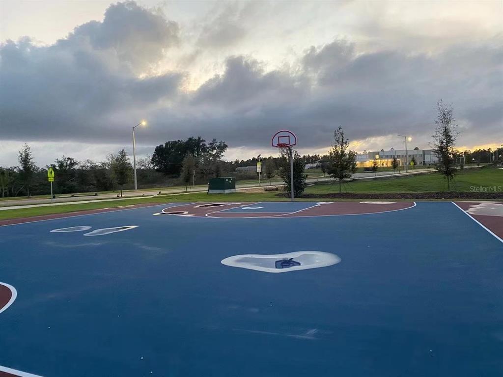16147 Water Spring Boulevard Winter Garden, FL 34787 - Photo 16 of 17 a view of an outdoor space and yard