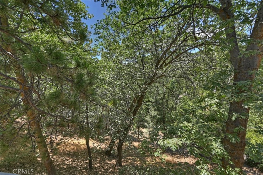27809 North Bay Road Lake Arrowhead, CA 92352 - Photo 32 of 38