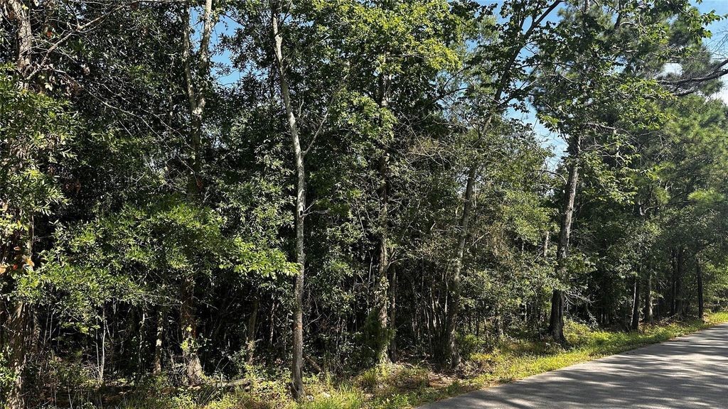 20 B Barrett Road Beaumont, TX 77708 - Photo 3 of 9 a view of a forest with a tree