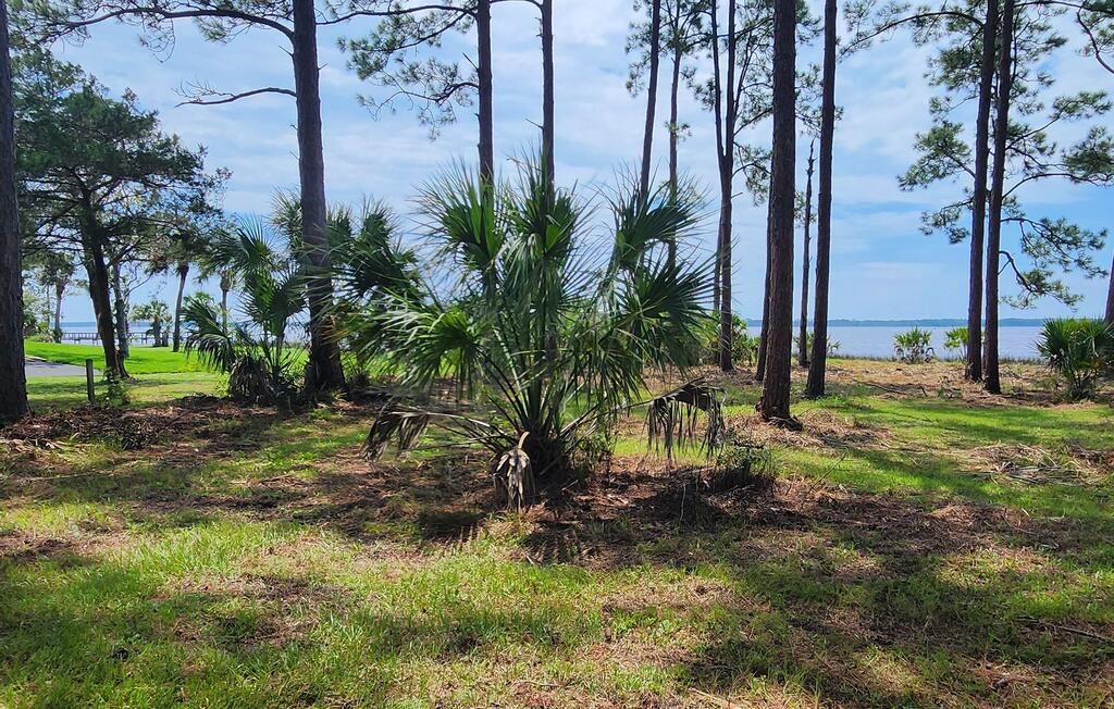 Lot 1 River Cove Road Panacea, FL 32346 - Photo 6 of 12 Gallery Image 6