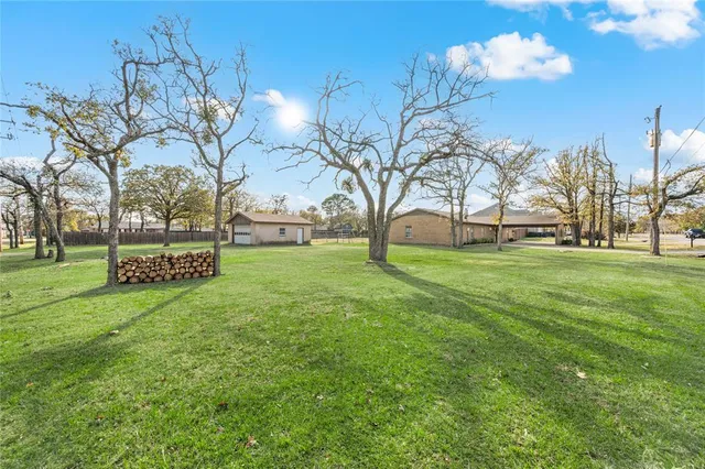 a view of a park with large trees