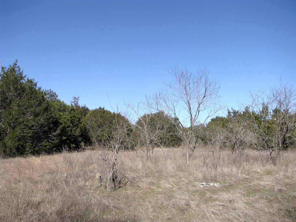 Lot 3-ph County Road 421 Evant, TX 76525 - Photo 14 of 27