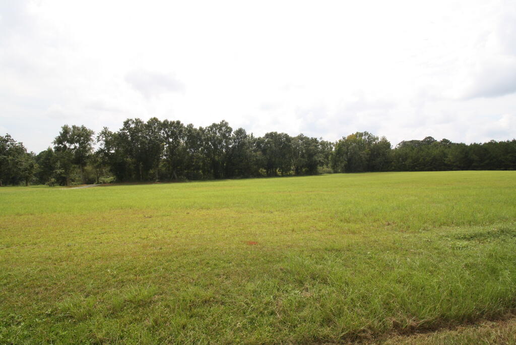 1525 Singletary Road Abbeville, AL 36310 - Photo 36 of 39 Gallery Image 36