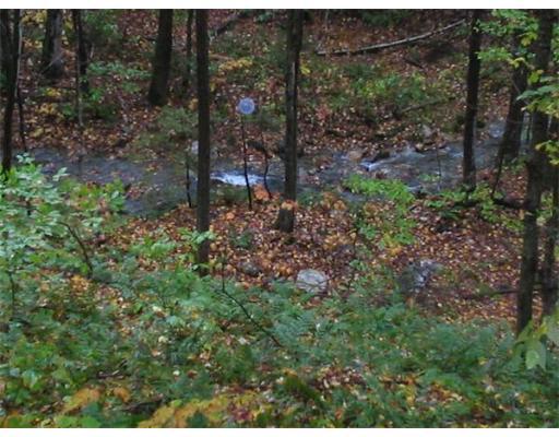 84 Moores Road Florida, MA 01343 - Photo 10 of 13 a view of a forest with a tree