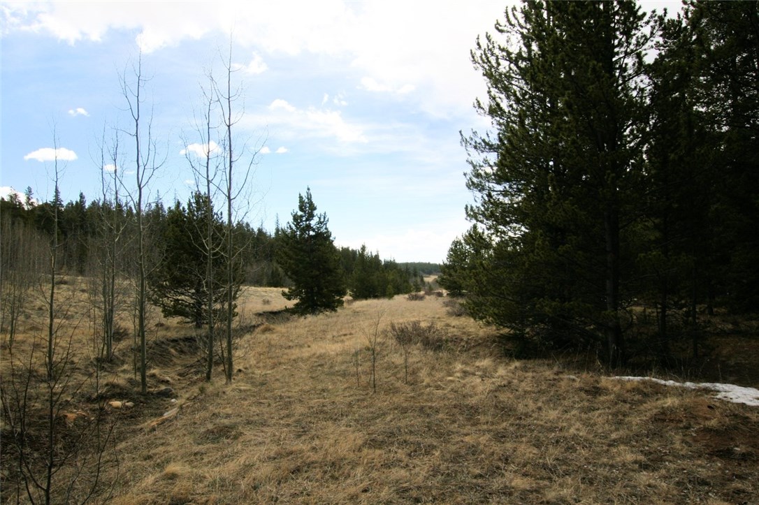 258 Co 665 Road Fairplay, CO 80440 - Photo 20 of 25 Gallery Image 20