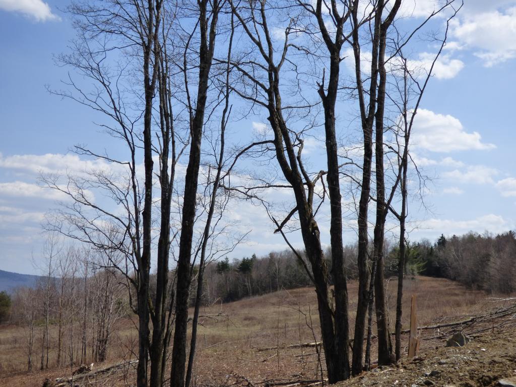 100 Kew Vasseur Road Fayston, VT 05673 - Photo 14 of 19 Gallery Image 14
