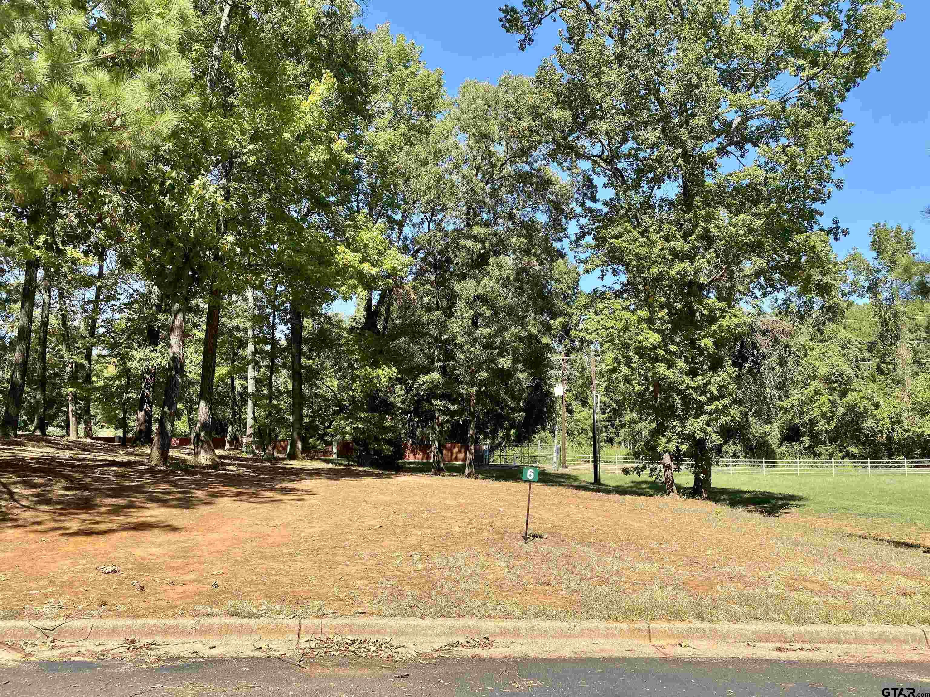 Lot 6 Easy Street Frankston, TX 75763 - Photo 3 of 8 a view of swimming pool and trees
