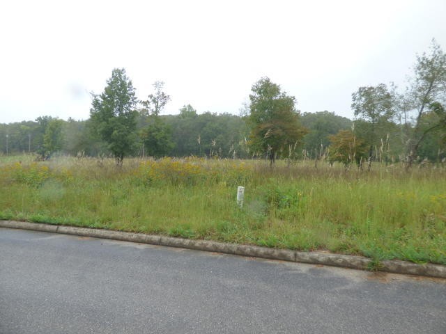 5 Stump Hollow Road Spring City, TN 37381 - Photo 5 of 19
