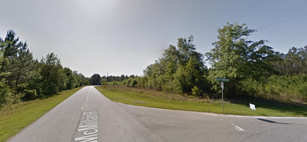 Lot 19 Staten Road Hahira, GA 31632 - Photo 20 of 27 Gallery Image 20
