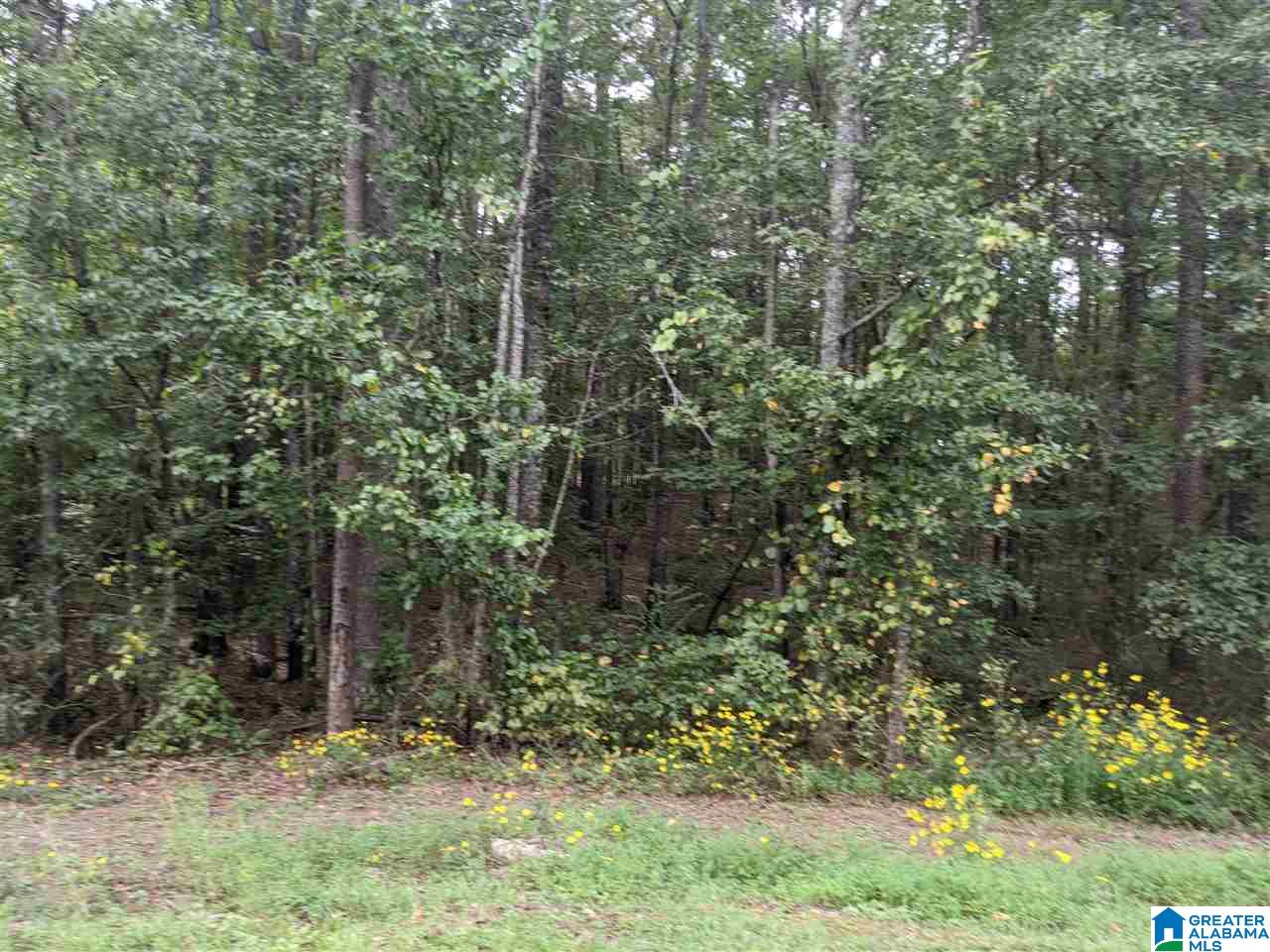 0 Smith Avenue, Unit 3 2 Anniston, AL 36207 - Photo 15 of 43