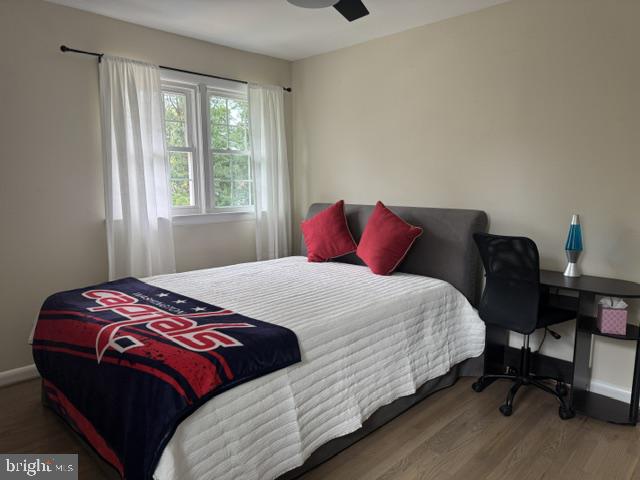 2322 Windsor Road Alexandria, VA 22307 - Photo 19 of 60 Gallery Image 19