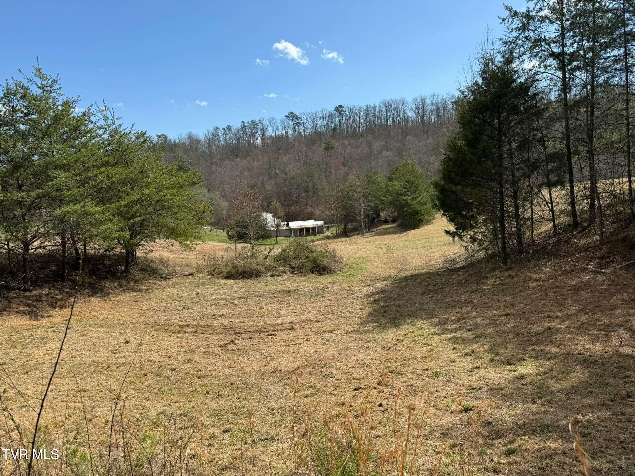 0 Dyer Hollow Road, Unit 3 Mohawk, TN 37810 - Photo 3 of 11 6a884631527ace1de6ab90354ab58151