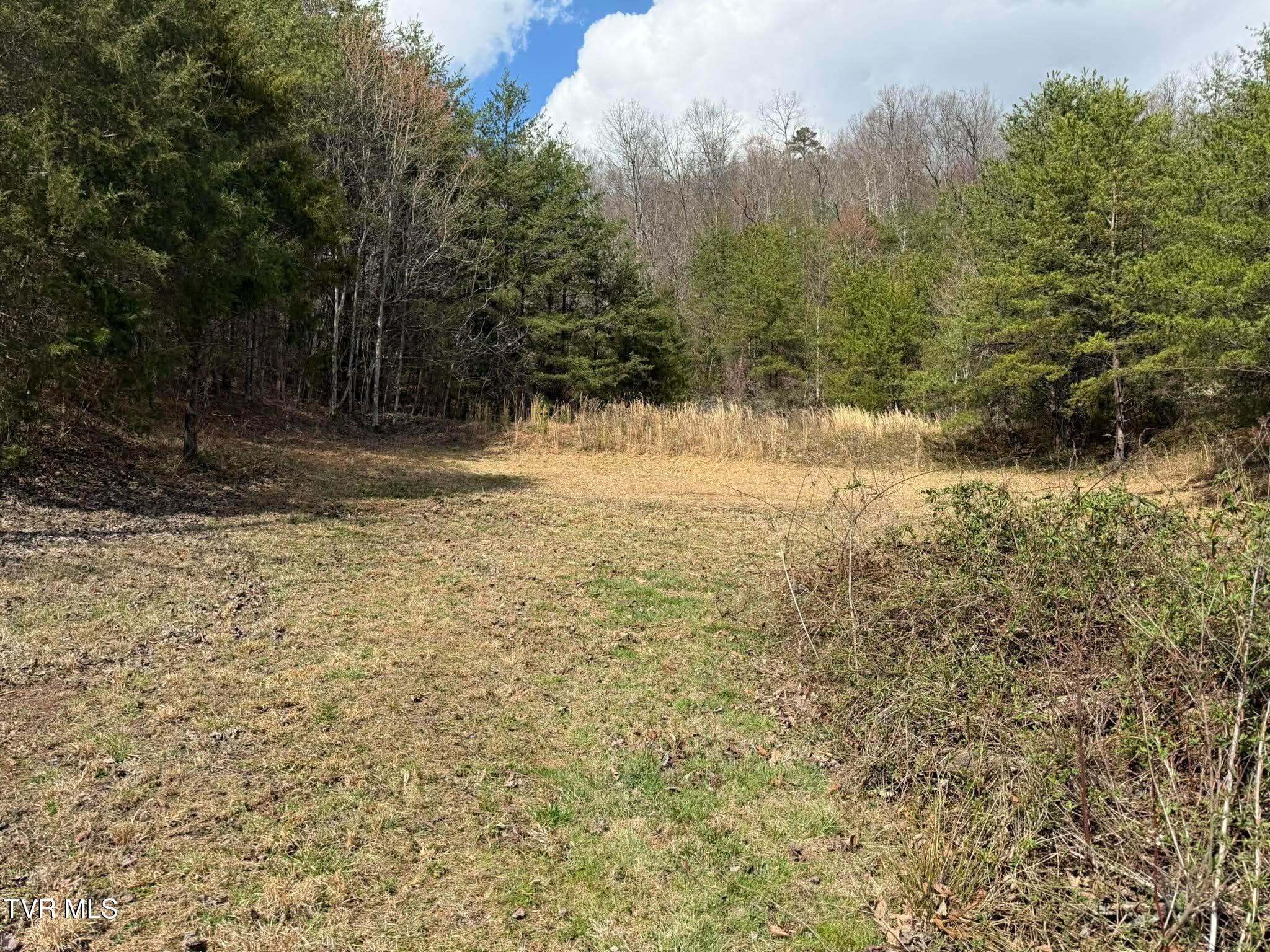 0 Dyer Hollow Road, Unit 3 Mohawk, TN 37810 - Photo 6 of 11 229dd1ea44c27952a8596cd5d8b78c81