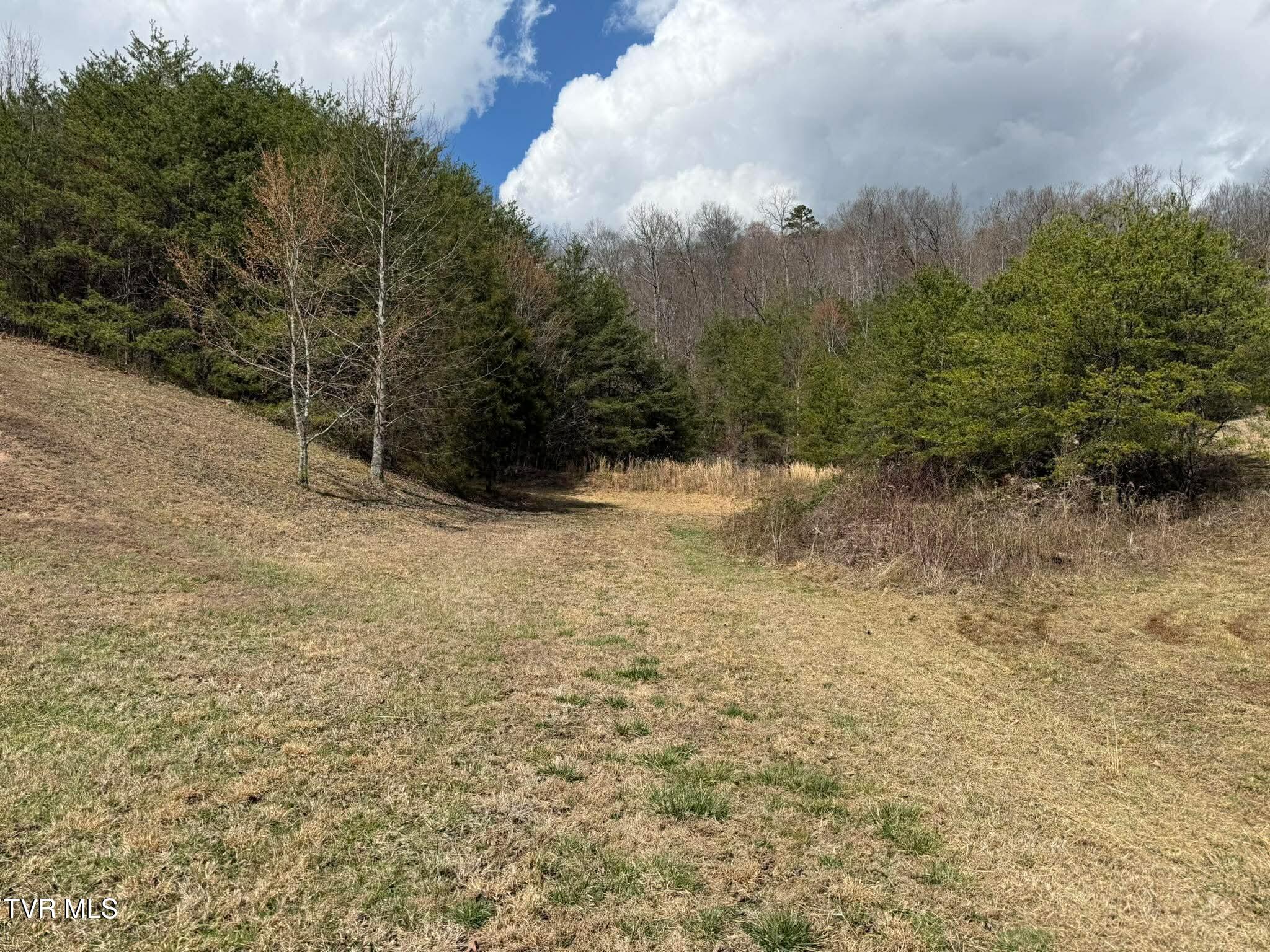 0 Dyer Hollow Road, Unit 3 Mohawk, TN 37810 - Photo 7 of 11 318aabbb1db085af404f2d1b64d23959