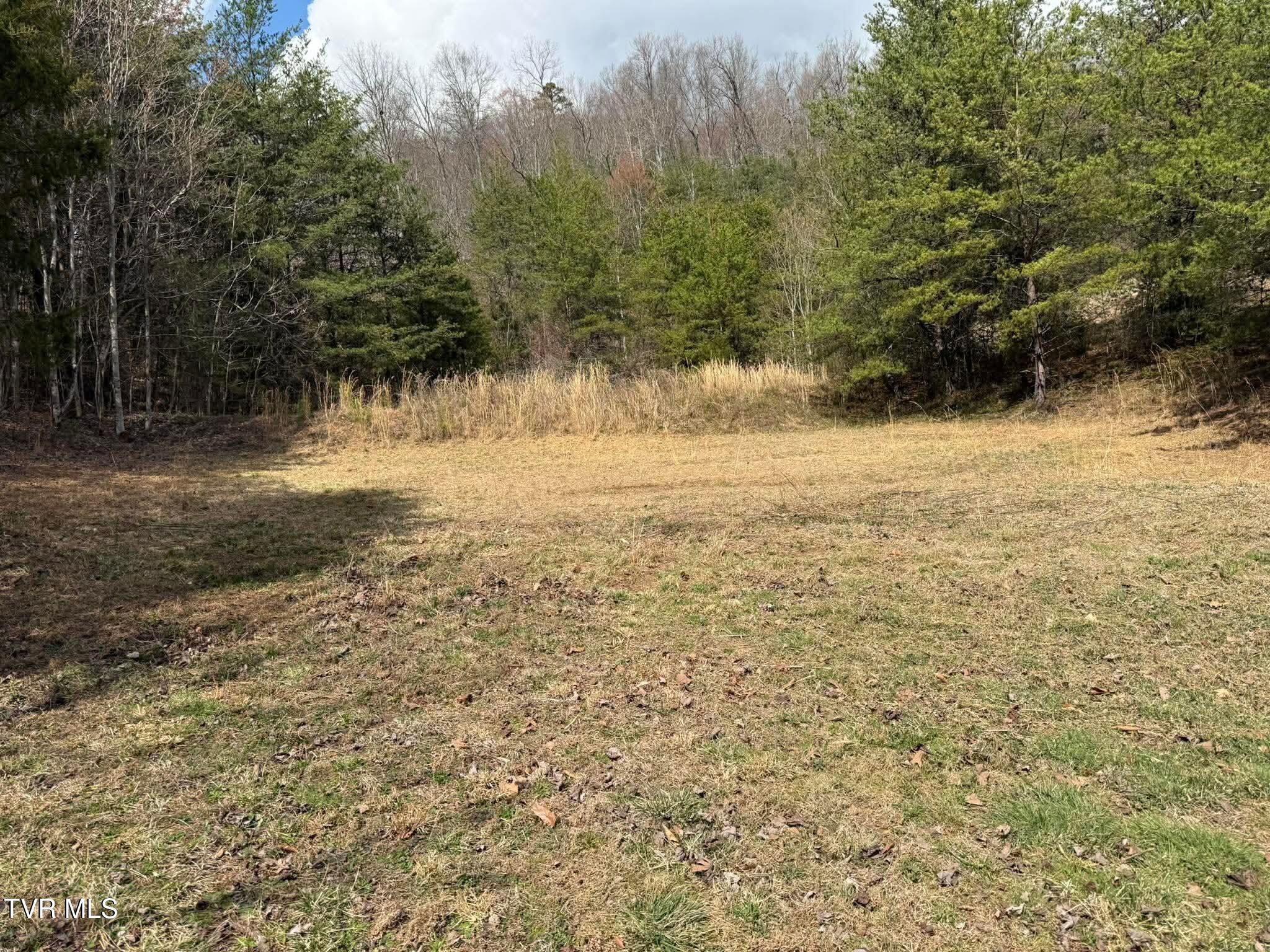 0 Dyer Hollow Road, Unit 3 Mohawk, TN 37810 - Photo 8 of 11 b0ee575730bf7476c524b1c544b03ebe