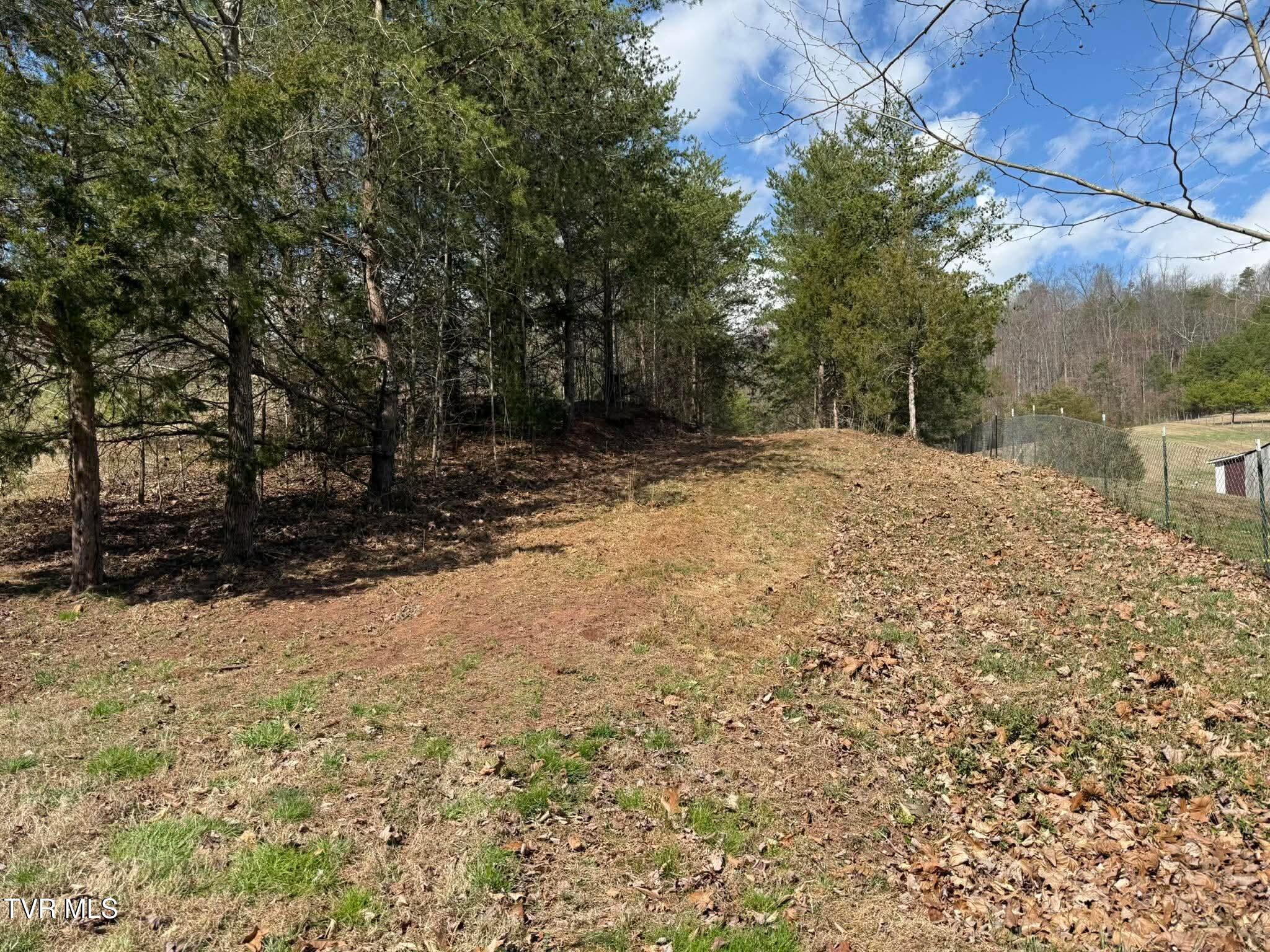 0 Dyer Hollow Road, Unit 3 Mohawk, TN 37810 - Photo 9 of 11 b1cf2c70801477a2a3578881816a76e5