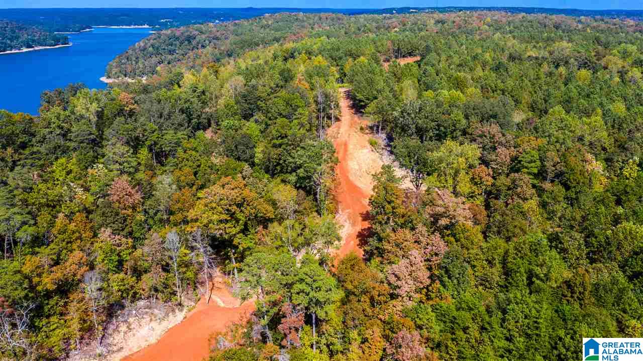 0 County Road 297 Cullman, AL 35057 - Photo 17 of 48