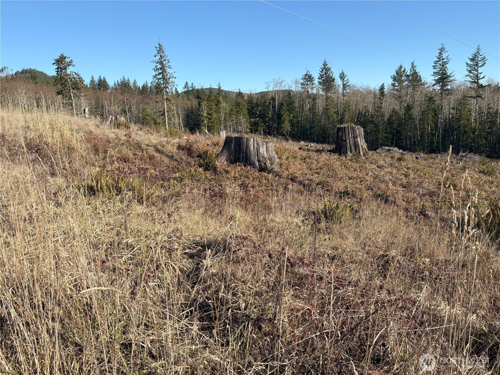 0 B-1000 Road Sequim, WA 98382 - Photo 11 of 16