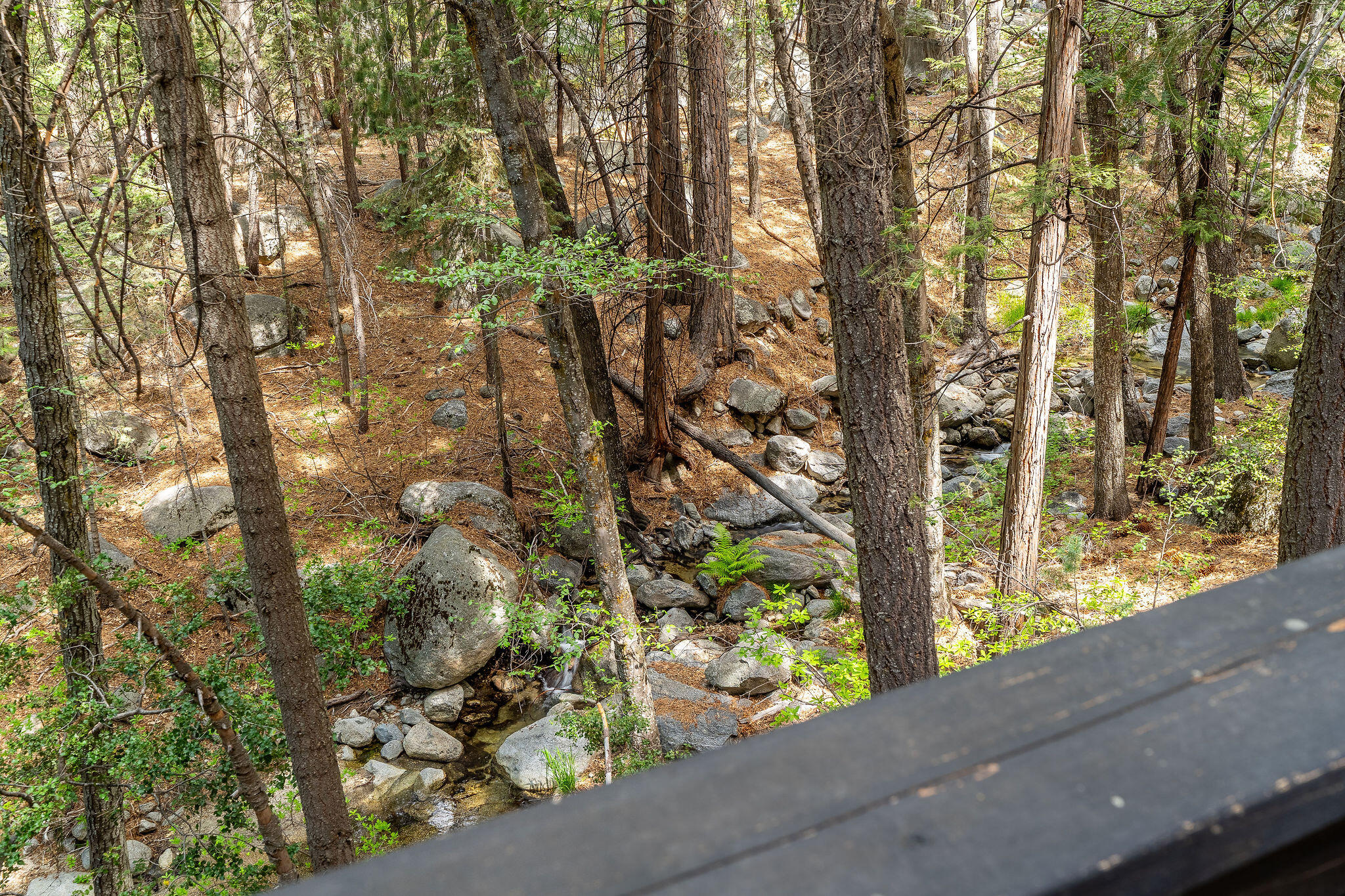24542 Fern Valley Road Idyllwild, CA 92549 - Photo 43 of 50 24542FernValleyRd-46