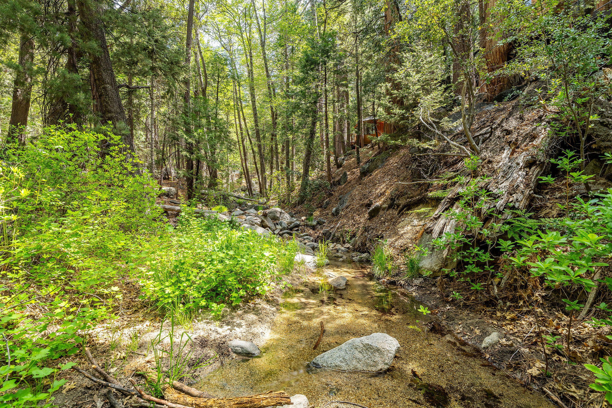 24542 Fern Valley Road Idyllwild, CA 92549 - Photo 45 of 50 24542FernValleyRd-48