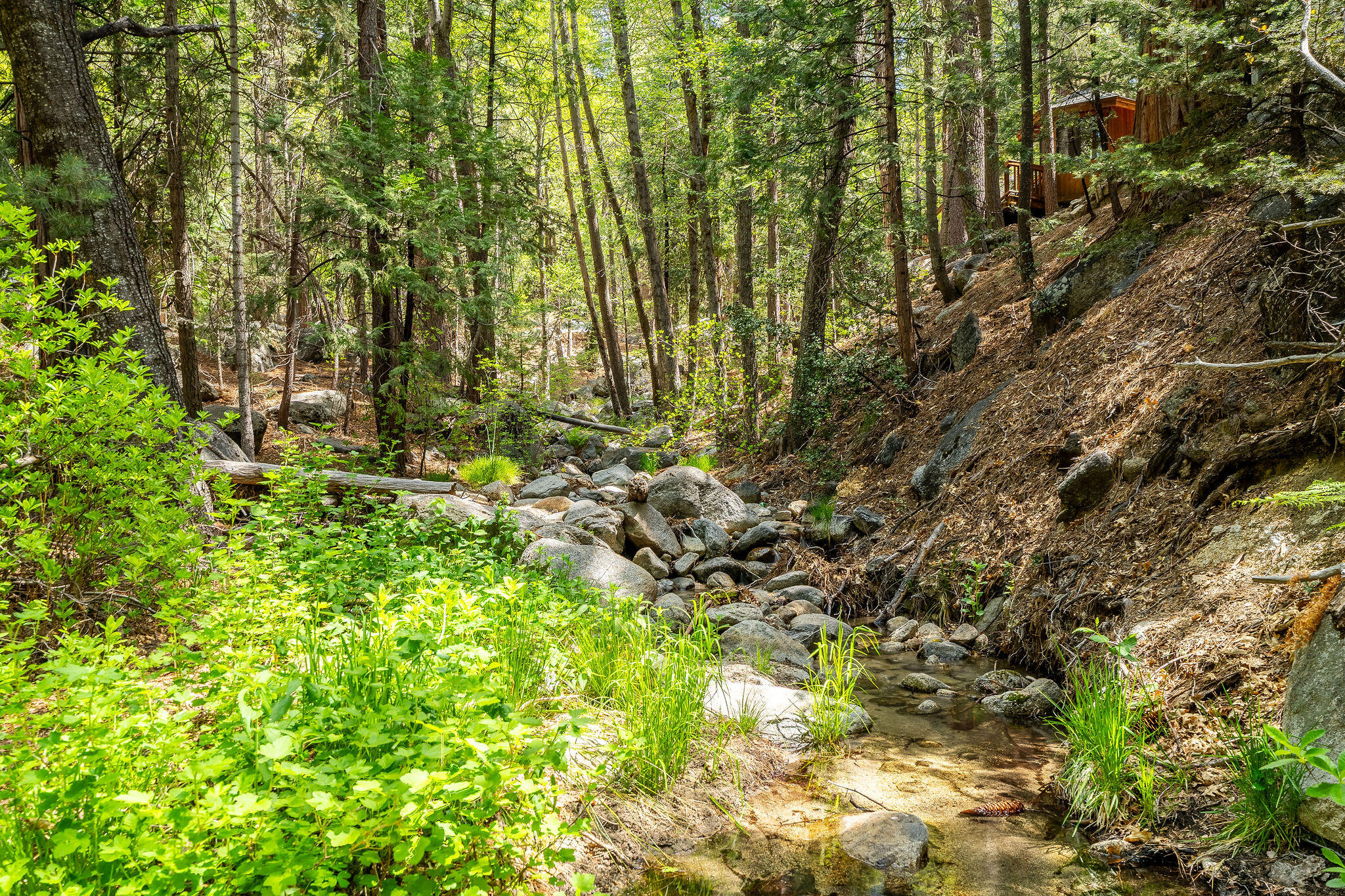 24542 Fern Valley Road Idyllwild, CA 92549 - Photo 46 of 50 24542FernValleyRd-49