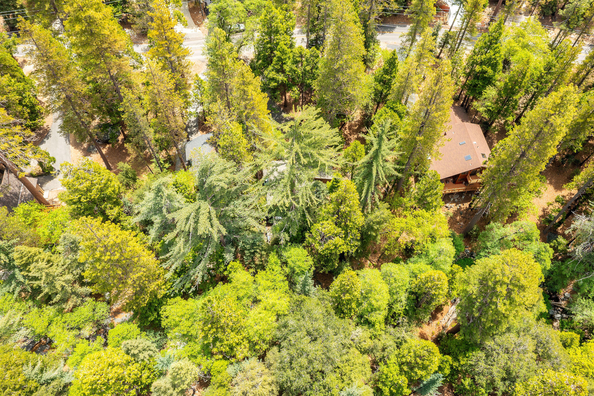 24542 Fern Valley Road Idyllwild, CA 92549 - Photo 48 of 50 24542FernValleyRd-52