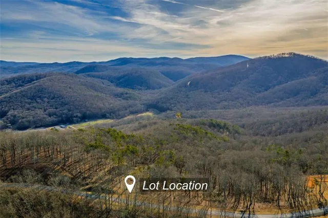 a view of a forest filled with trees