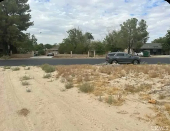 a view of back yard of the house with a yard