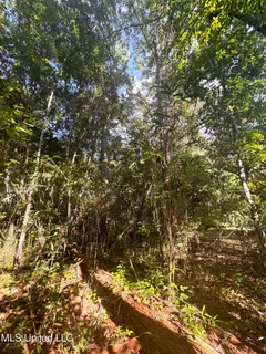 $439,500 | 12 Zettel Road, Ocean Springs, MS 39564