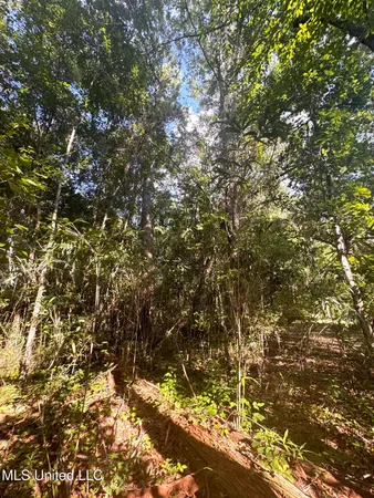 $439,500 | 12 Zettel Road, Ocean Springs, MS 39564